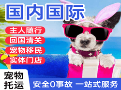 蓬莱空运代理国际宠物托运 【国